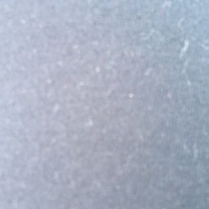 Meet your Posher, Faith